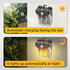 Outdoor Wall Lamps